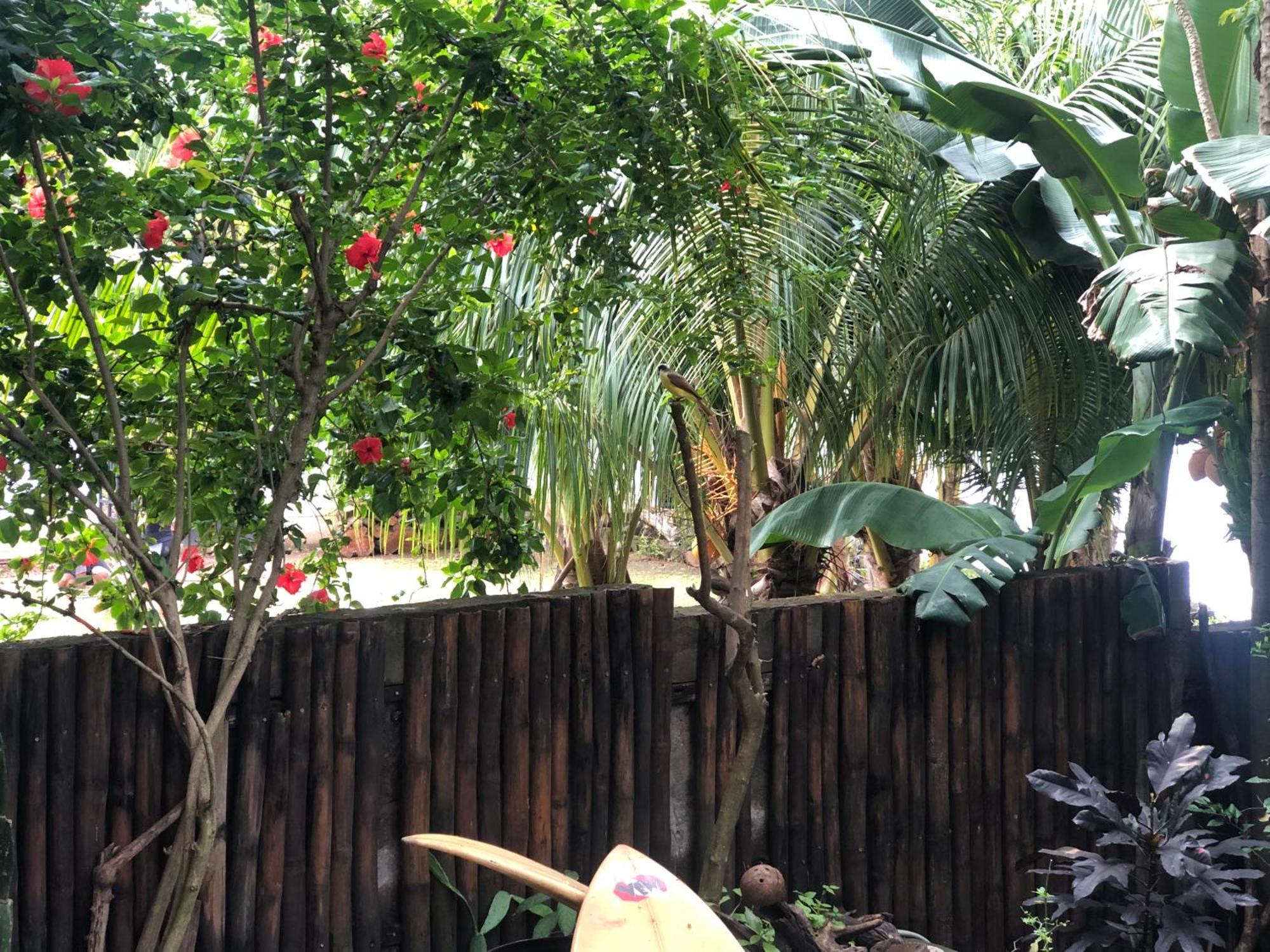 Bed and Breakfast El Marabu Chill'N Surf Aposentillo Exteriér fotografie